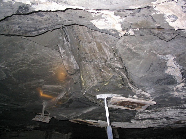 Ископаемый пень, штат Иллинойс, США (каменноугольный период)